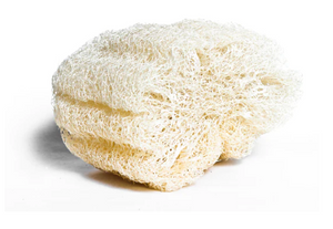 Loofah Sponge