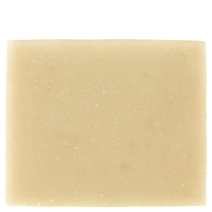 Christophe Robin Hydrating Shampoo Bar with Aloe Vera