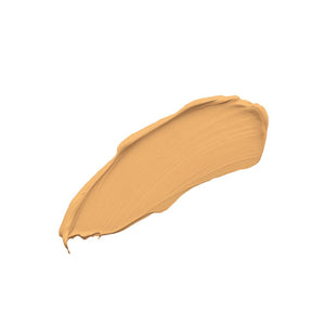 Skin perfecting on the go concealer 7.5ml